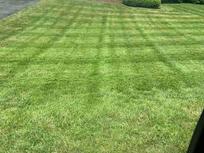 Lawn Care service in Chesterfield, 23832