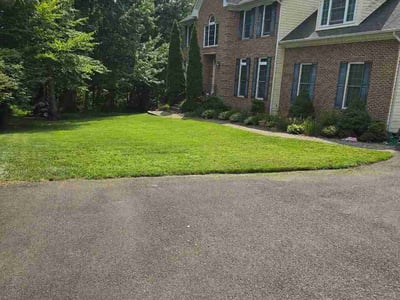 Lawn Care service in Springfield, 22150