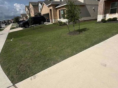 Lawn Care service in Hutto, 78634