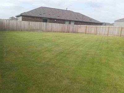 Lawn Care service in Hutto, 78634