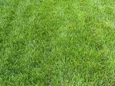 Lawn Care service in Oregon, 53575