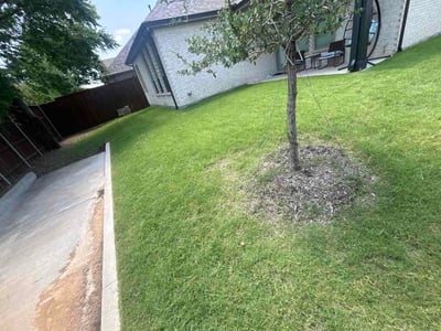 Lawn Care service in Mansfield, 76063
