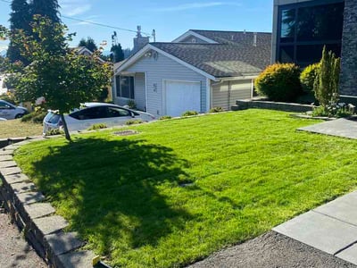 Lawn Care service in Kent, 98032