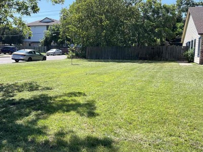 Lawn Care service in Granger, 76530