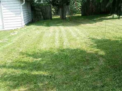 Lawn Care service in Kent, 98032