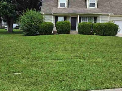 Lawn Care service in Hermitage, 37076