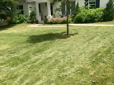 Lawn Care service in Hermitage, 37076