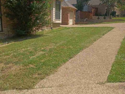 Lawn Care service in Irving, 75061