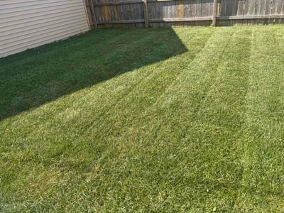Lawn Care service in Sussex, 53089