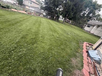 Lawn Care service in Sussex, 53089