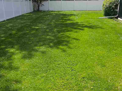 Lawn Care service in Elm Grove, 53122