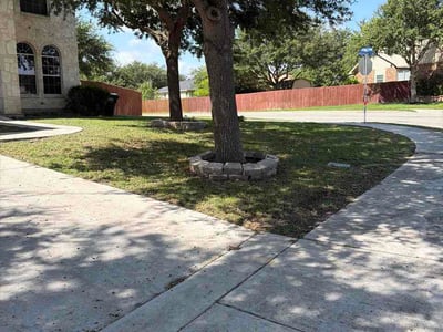 Lawn Care service in Schertz, 78154