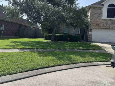 Lawn Care service in Dickinson, 77539