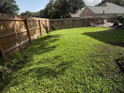 Lawn Care service in Schertz, 78154