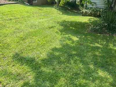 Lawn Care service in Hampstead, 21074