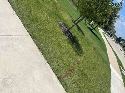 Lawn Care service in Saginaw, 76179
