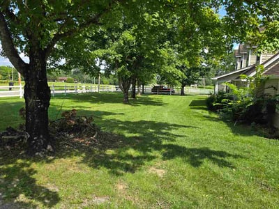 Lawn Care service in Lebanon, 37087