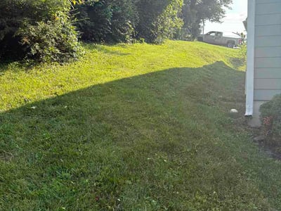Lawn Care service in Kingston Springs, 37082