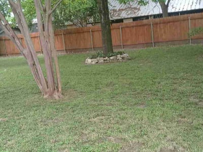 Lawn Care service in Shoreline, 98133