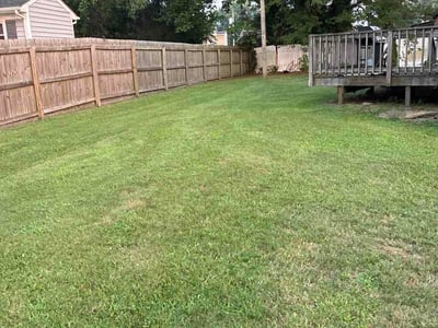 Lawn Care service in Portsmouth, 23704