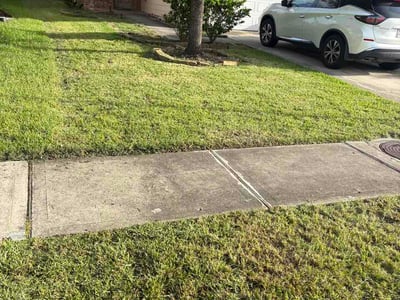 Lawn Care service in The Woodlands, 77380