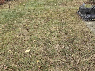 Lawn Care service in Milwaukee, 53202