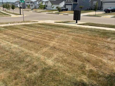 Lawn Care service in Stoughton, 53589