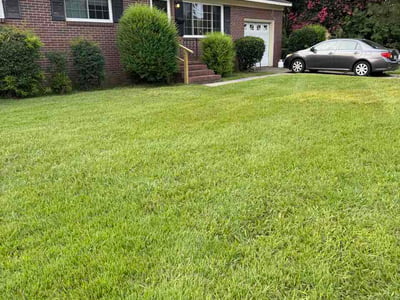 Lawn Care service in Poquoson, 23662