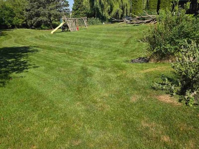 Lawn Care service in Waunakee, 53597