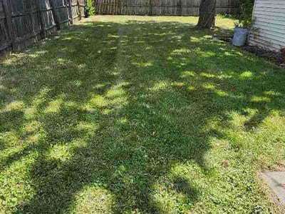 Lawn Care service in Hartford, 53027