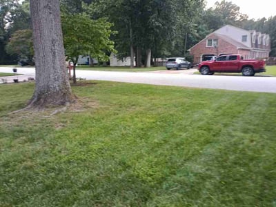 Lawn Care service in Poquoson, 23662