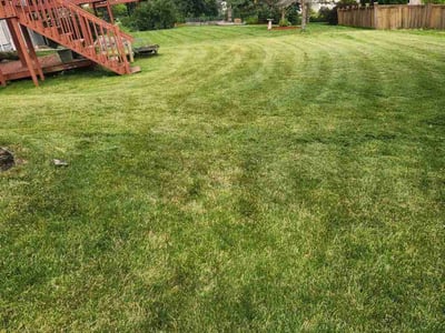 Lawn Care service in Waunakee, 53597