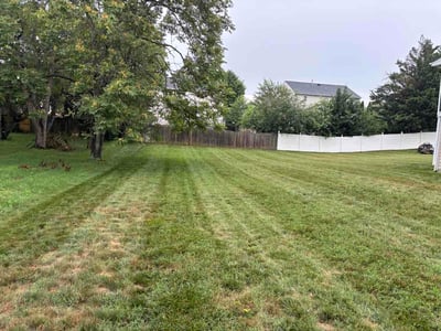 Lawn Care service in Berryville, 22611