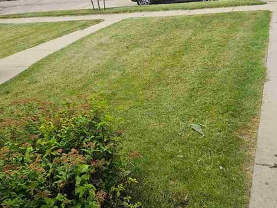Lawn Care service in Hartford, 53027