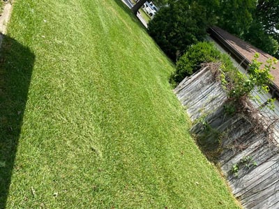 Lawn Care service in Sammamish, 98074