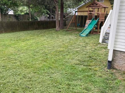 Lawn Care service in Buckley, 98321