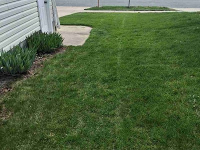 Lawn Care service in Stoughton, 53589
