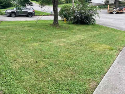 Lawn Care service in Harriman, 37748