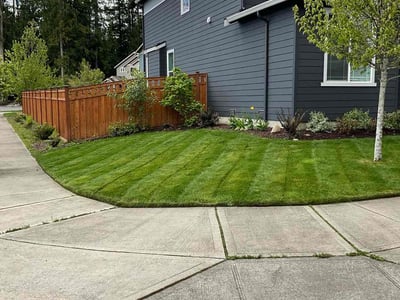 Lawn Care service in Bonney Lake, 98391