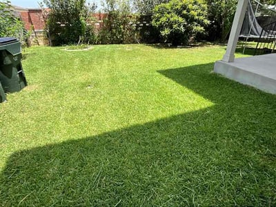 Lawn Care service in Spicewood, 78669
