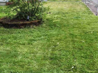 Lawn Care service in Bonney Lake, 98391