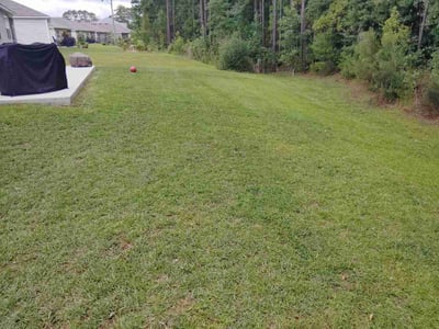 Lawn Care service in Loris, 29569