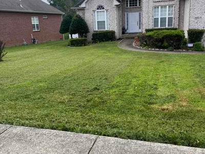 Lawn Care service in Columbia, 38401