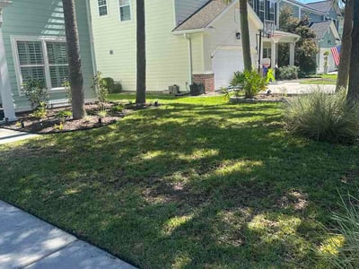 Lawn Care service in Loris, 29569
