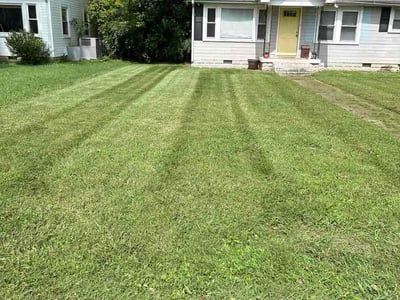 Lawn Care service in Murfreesboro, 37129