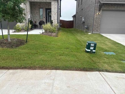 Lawn Care service in Carrollton, 75006