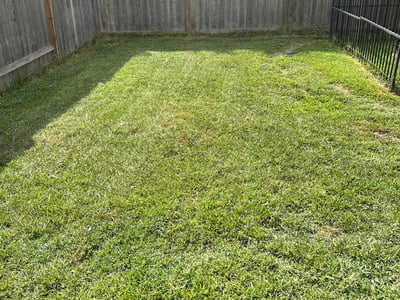 Lawn Care service in Deer Park, 77536