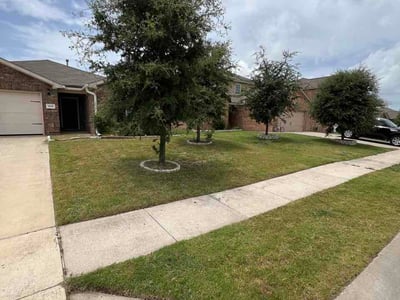 Lawn Care service in Glenn Heights, 75154