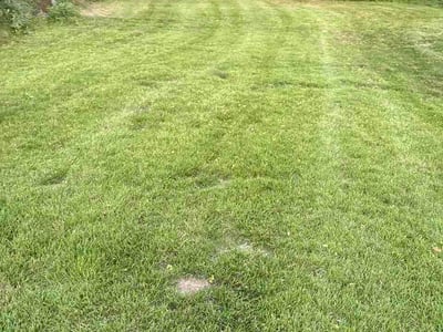 Lawn Care service in Duquesne, 15110
