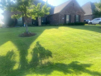 Lawn Care service in Glenn Heights, 75154